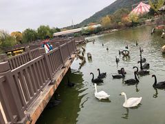 -无锡动物园·太湖欢乐园