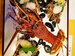 -活伊势龙虾料理 中纳言(千日前味乐馆店)