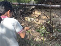 -塞上渔乡·农家菜·虹鳟鱼