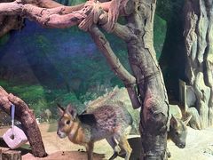 -正佳雨林生态植物园