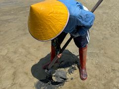 -北海金海湾红树林生态旅游区