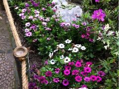 iphone_upload_pic-汇龙潭