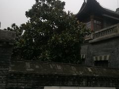 -止园酒店-中餐厅
