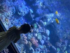 -江和美海洋公园