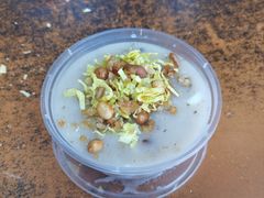 传统水菱角-老西关濑粉(文明路店)
