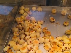-彭记优口(王府井购物中心店)