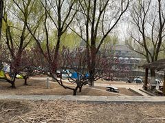 -青龙湖公园