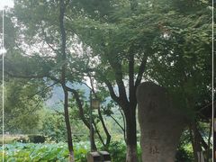 -八卦田遗址公园
