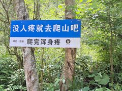 -鹿院坪生态旅游景区