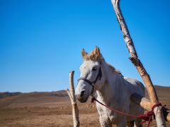 -塞罕坝国家级自然保护区