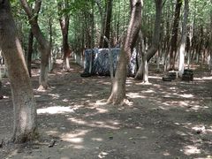 -亲兄弟真人CS团建拓展基地