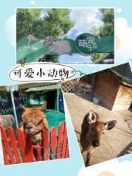 -萌宠亲子动物乐园(槐房万达店)