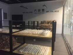 -太湖雪蚕桑文化园