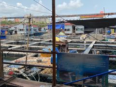 -蓝湾碧波·老字号·疍家非遗海上餐厅