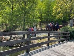 -上海海湾国家森林公园