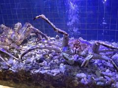 -珍宝轩海鲜火锅(碧湖大厦店)
