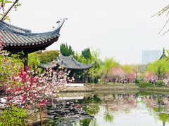 -无锡蠡湖国家湿地公园-蠡园