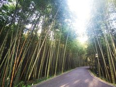 -潜山国家森林公园