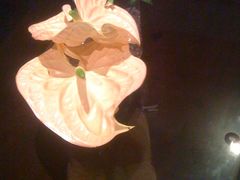 春暖花开-杭州君悦酒店