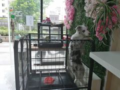 -学姐家酸奶铺(江大店)