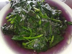 -千岛湖港湾鱼庄