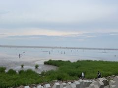 -奉贤海滩