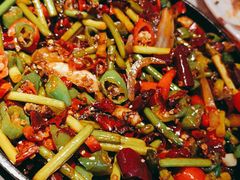 -天辣(金桥啦啦宝都店)