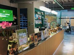 -绿壁虎攀岩基地(Tcar店)