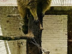 -J Create城市露营咖啡·简餐·宠物(上海动物园店)