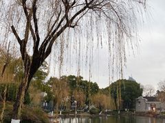 -月湖公园