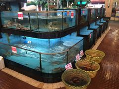 水产区-金水门银河酒楼(新埠岛店)