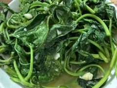 -食神又名厕所兔