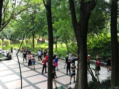 -晓港公园