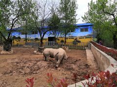 -西安秦岭野生动物园