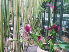 -新竹里馆·花园餐厅(兴苑路店)