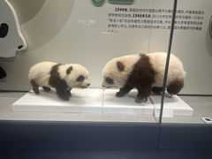 -四川大学博物馆