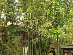 -咸宁万豪温泉谷度假区