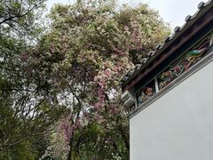 -深圳国际园林花卉博览园