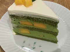 -猫里有甜