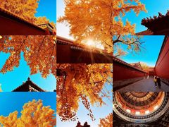 -故宫博物院(故宫)