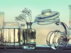 -文星素食(兴华路店)