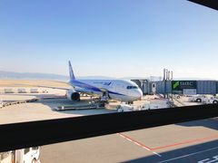 -全日本空输株式会社(上海办事处)