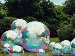 -上海共青森林公园