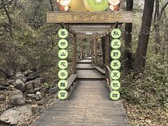 -大岭沟猕猴桃谷风景区