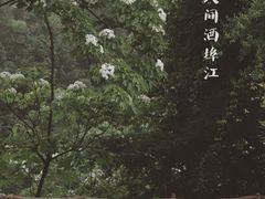 -酒仙湖景区