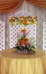 -上海浦东喜来登由由大酒店·宴会厅