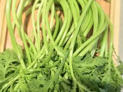 鲜蔬大拼-蝎王府羊蝎子(西直门店)