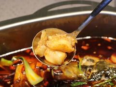 -味之绝热血美蛙鱼火锅(中坝店)