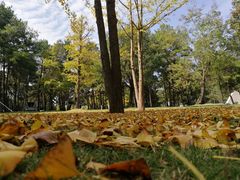 -Club Med地中海俱乐部·桂林度假村