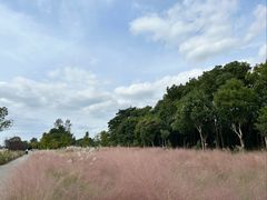 -小陆莲花蟹园农家乐(莲花岛店)